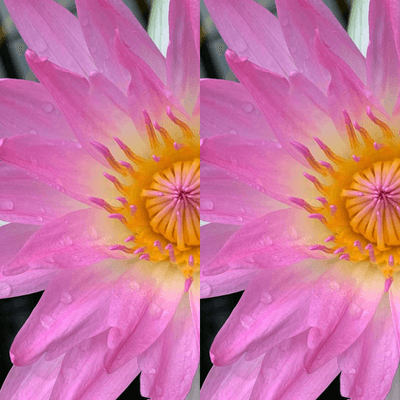 Image output for example 2